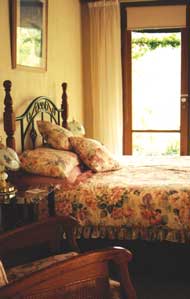 Lyre Bird Hill Winery And Guest House - C Tourism 3