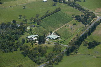 Lyre Bird Hill Winery And Guest House - C Tourism 5