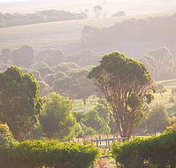 Mackas Farm - C Tourism