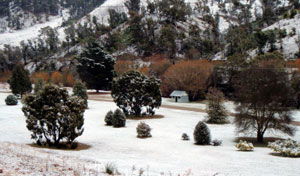 Omeo Caravan Park - C Tourism 1