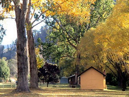 Omeo Caravan Park - C Tourism 4