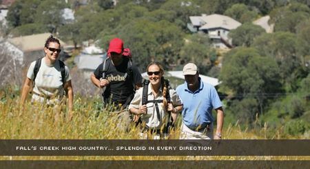 Alpine View Apartments - C Tourism 3