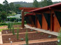 De Vine Escape - C Tourism 0