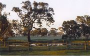 Ardwick Homestead - C Tourism 1