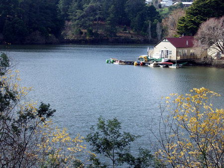 Azidene House - C Tourism 1