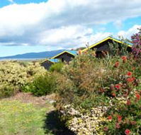 Black Cockatoo Cottages - C Tourism