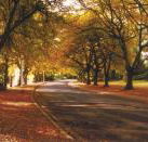 La Trobe at Beechworth - C Tourism