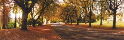 La Trobe At Beechworth - C Tourism 0