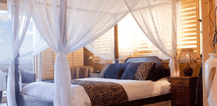 Avocado Sunset - C Tourism 2