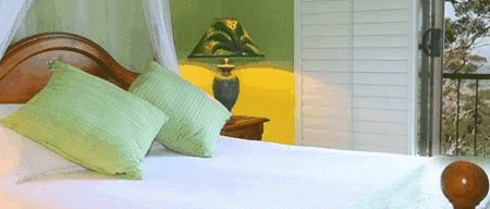 Avocado Sunset - C Tourism 3