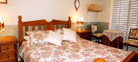 Avocado Sunset - C Tourism 5