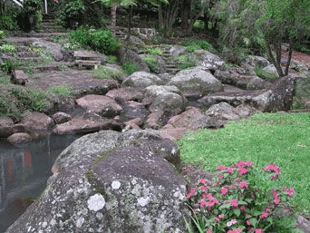 Tall Trees Motel - C Tourism 3