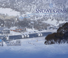 Snowy Gums Chalet - C Tourism 0