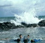 Bargara Beach Motor Inn - C Tourism