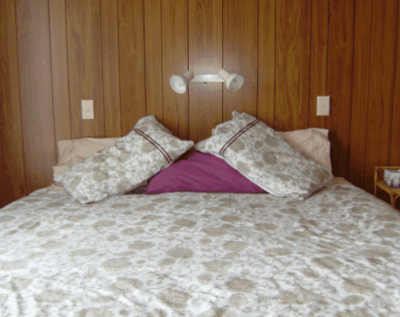 Lady Barron Holiday House - C Tourism 2