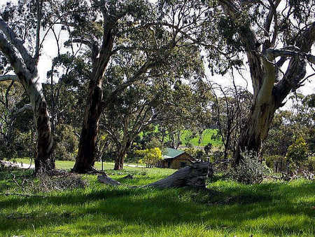 Wuthering Heights - C Tourism 1