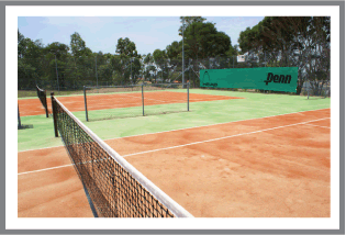 Hunter Morpeth Motel And Villas - C Tourism 1