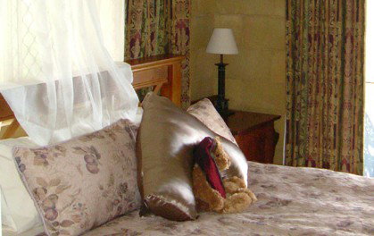 Wallaby Ridge Retreat - C Tourism 1