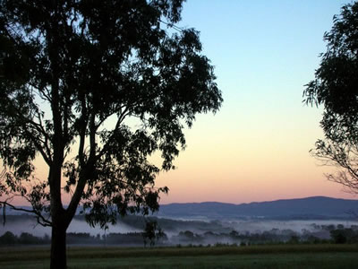 Bluebush Estate - C Tourism 0