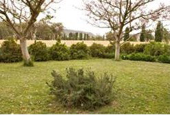 Claremont Cottage - C Tourism 2