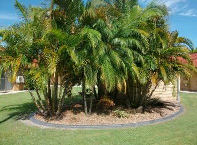 Yamba Motor Inn - C Tourism 5