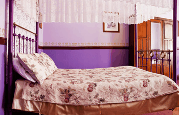 Stannum House - C Tourism 1