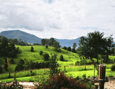 Nimbin Rox YHA - C Tourism 1
