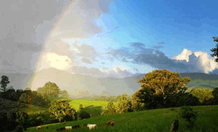 Nimbin Rox YHA - C Tourism 3