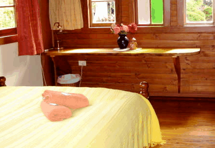 Nimbin Holiday Accommodation & Guest House - C Tourism 5