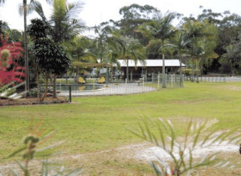 Minnie Water Holiday Park - C Tourism 5