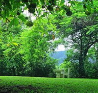 Misty Mountain Retreat - C Tourism