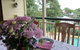 Aynsley Bed And Breakfast - thumb 1