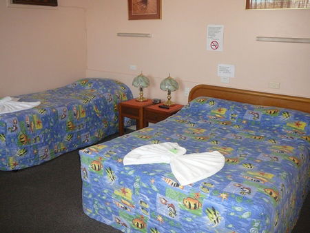 Civic Motel Grafton - C Tourism 2