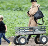 Perth City Farm Organic Markets - C Tourism