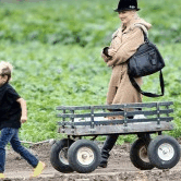 Perth City Farm Organic Markets - C Tourism 0