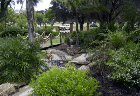 King Carnival - C Tourism 1