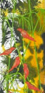 Jahroc Mill Gallery - C Tourism 3
