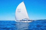 Manly Harbour Village - C Tourism