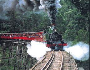 Puffing Billy - C Tourism 1