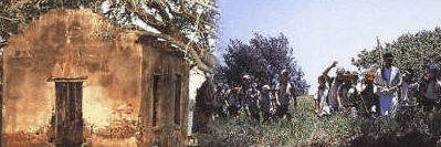 St Helena Island - C Tourism 1