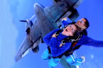 Simply Skydive - C Tourism 2