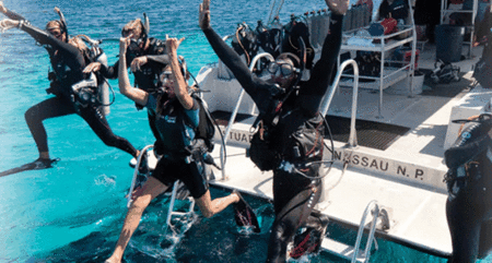 Snorkel Safari Brisbane - C Tourism