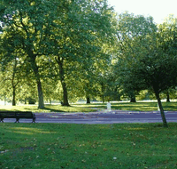 New Farm Park - C Tourism