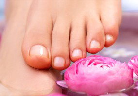 Indulge Spa Retreat - C Tourism 3