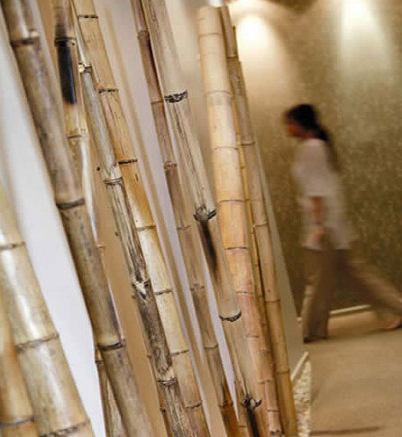 Spa Nirvana - C Tourism 0