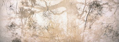 Dianne Tanzer Gallery & Projects - C Tourism 3