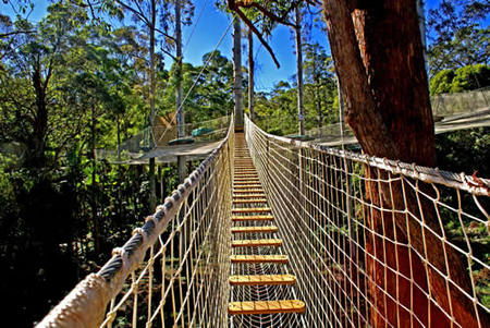 Thunderbird Park - C Tourism 0