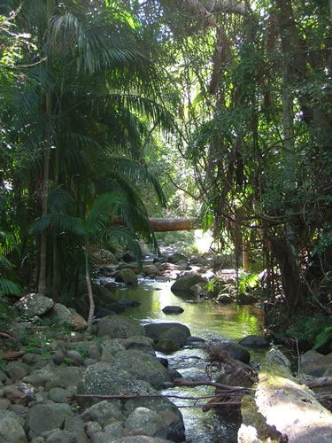 Thunderbird Park - C Tourism 2