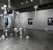 Nellie Castan Gallery - C Tourism