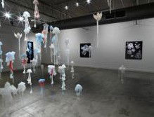 Nellie Castan Gallery - C Tourism 0